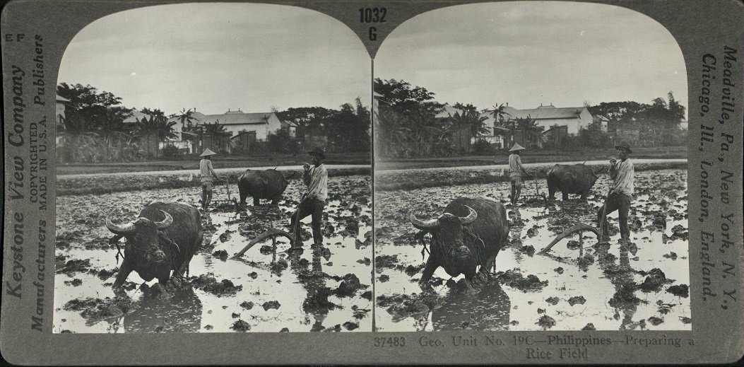 Geo. Unit No. 19C – Philippines – Preparing a Rice Field.
